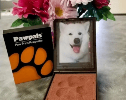 PET CREMATION