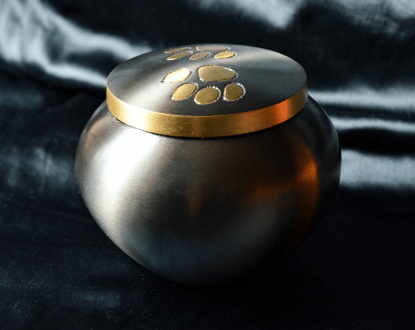 PET URNS